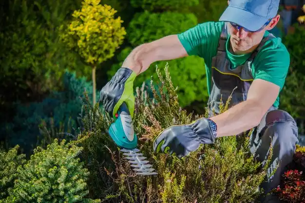 landscaping services Rapids
